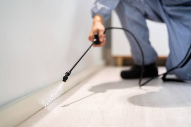 Licensed Pest Control service in San Castle, FL - Show Me Pest Control