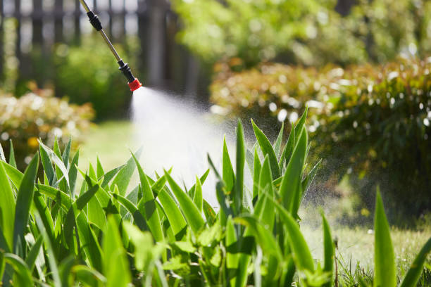 24/7 Emergency Wasp Removal experts in San Castle, FL