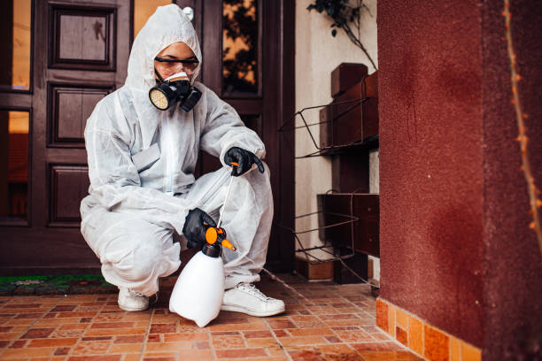 Reliable Wasp Removal contractor in San Castle, FL by Show Me Pest Control